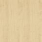 Preview: Spanplatte Holzdekor R 27001 VV (R5474) Königsahorn 19mm